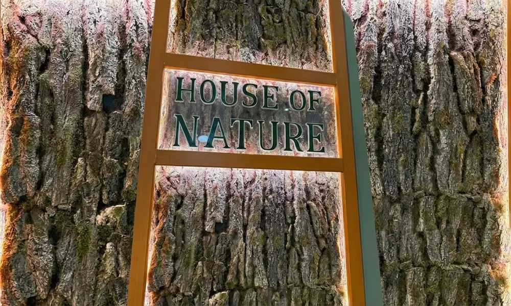 Salt Room Yoga Experience: Wellness, Relaxation & Breathing Sessions