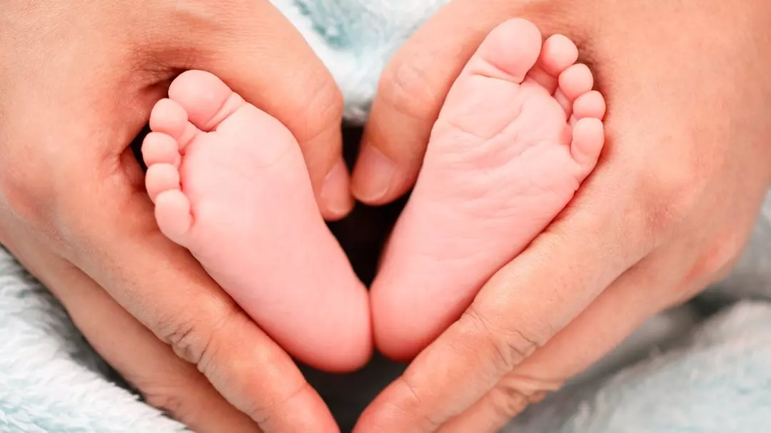 Cursos online de iniciación a la maternidad a elegir para 1 persona