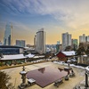 Image 5: Japan & South Korea Escape-14 Days Culture, Comfort & Guided Discovery