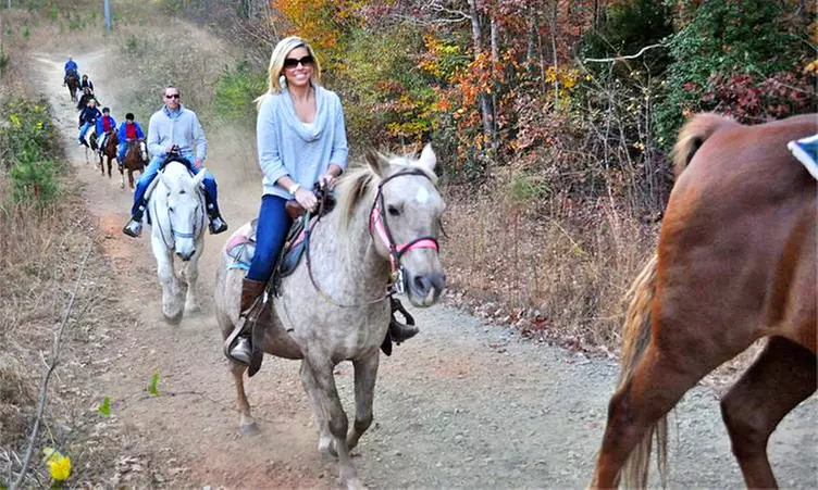 Horseback Trail Ride for One or Two at Latta Equestrian Center (40% Off) - Primary Image