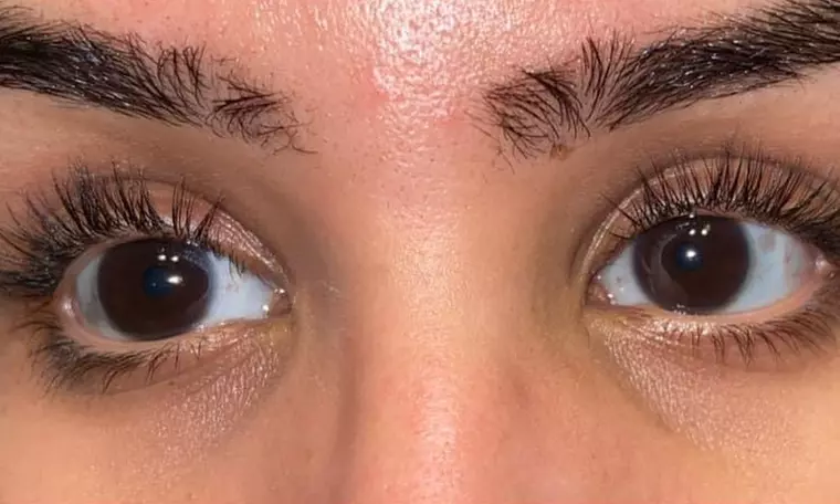 Refresh Your Look with Brow & Lash Transformations w/w/o Tinting