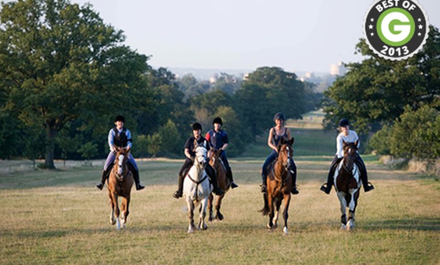 Image 1: Horse Riding in Windsor