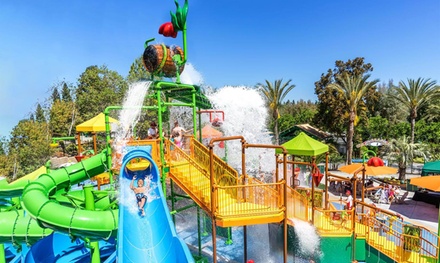 One Single Day Admission valid from March 28, 2026 through August 9, 2026 - Gilroy Gardens, CA