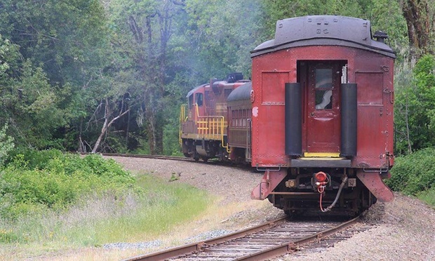 What to expect media