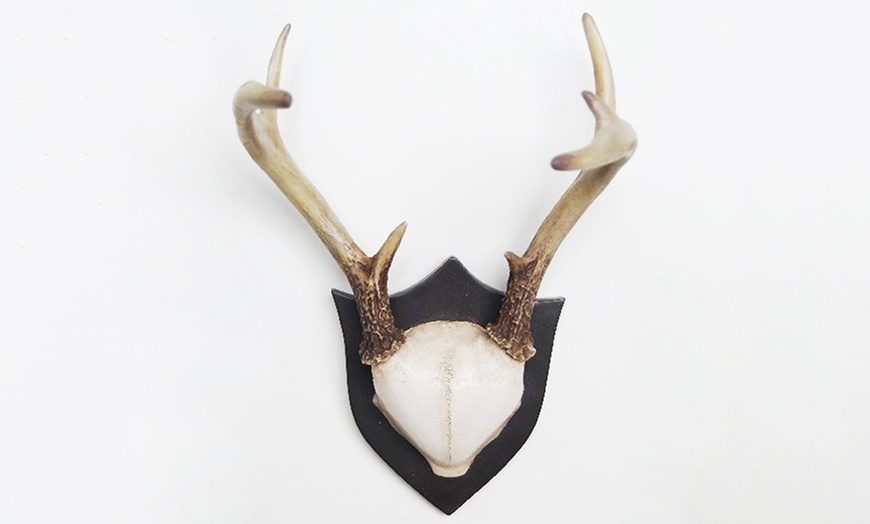 Image 4: Wall-Mounted Animal Heads