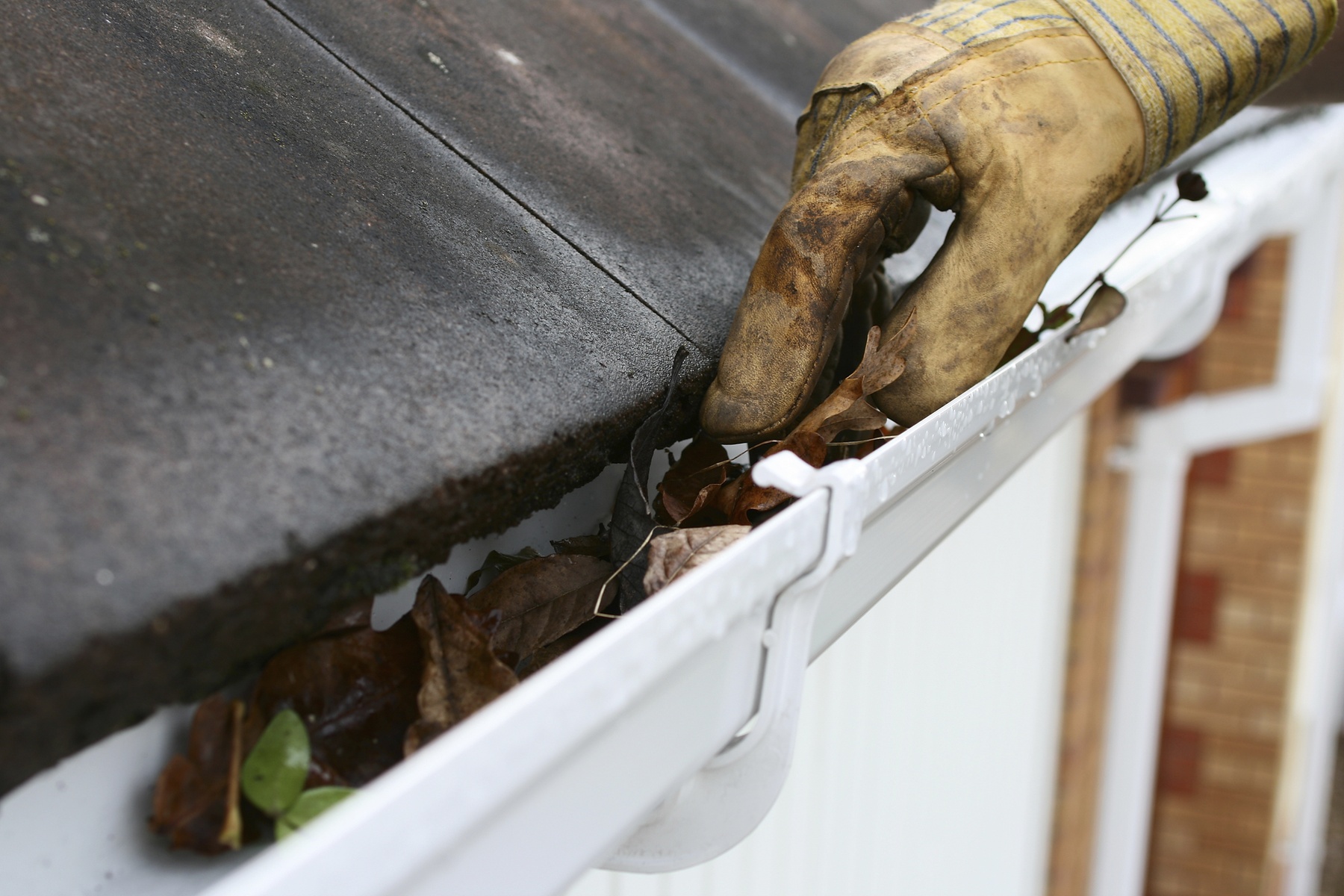 Gutter Cleaning for a One- or Two-Story House from Roman Exteriors & Maintenance (Up to 40% Off)