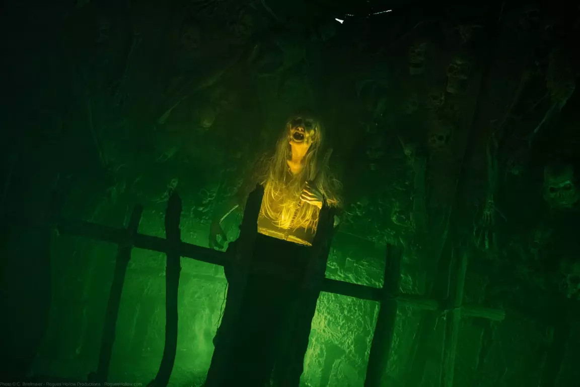 Dare to Enter: VIP or General Access to Hallows End’s Witch Coven, Freak Show & Total Darkness (Up to 20% Off) - Primary Image