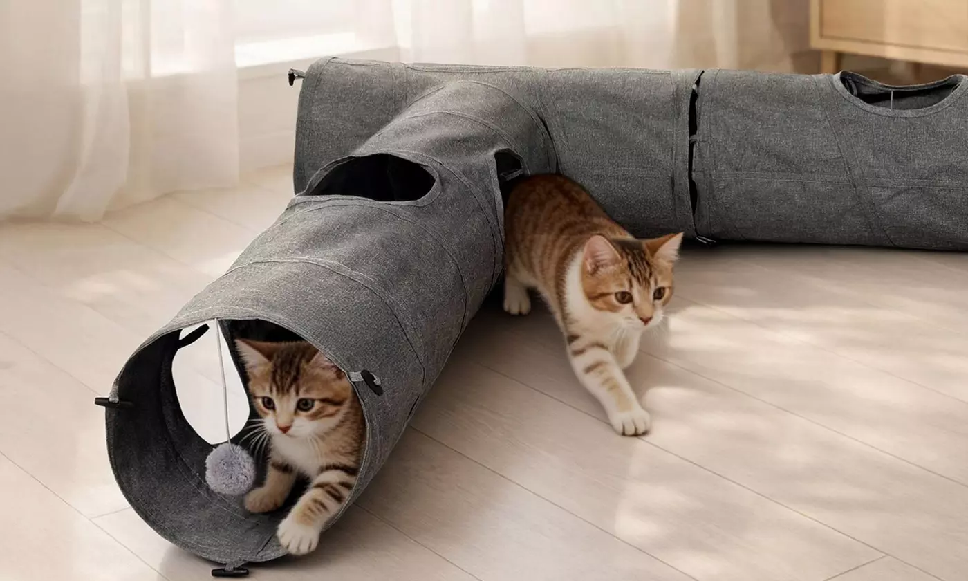 Skylos Modular Cat Tunnel 3-Piece Foldable Play Tunnel Set