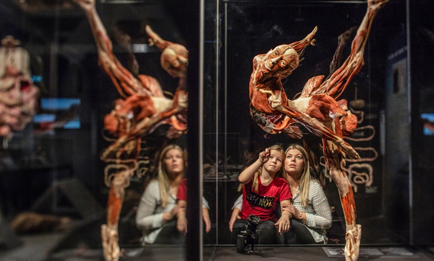 Image 2: 1 Ticket für Körperwelten in Hanau, einlösbar vom 17.11-05.12.2025