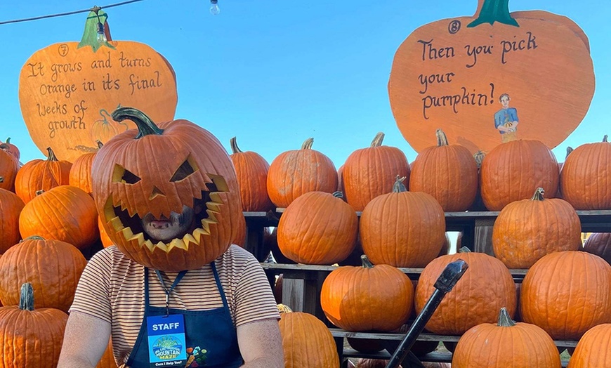 Image 7: Explore the 5 Acre Corn Maze & Festival Fun Admission for 1, 2, 3 or 4