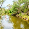 Image 4: Ticket to Narrabeen Sup Creek Tour for Up to 11 People