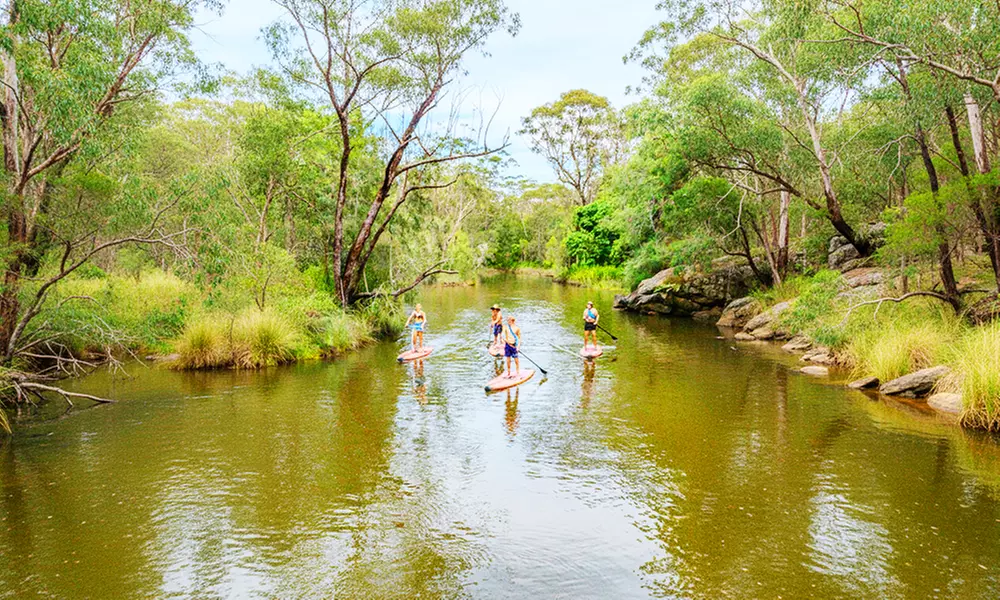 Ticket to Narrabeen Sup Creek Tour for Up to 11 People