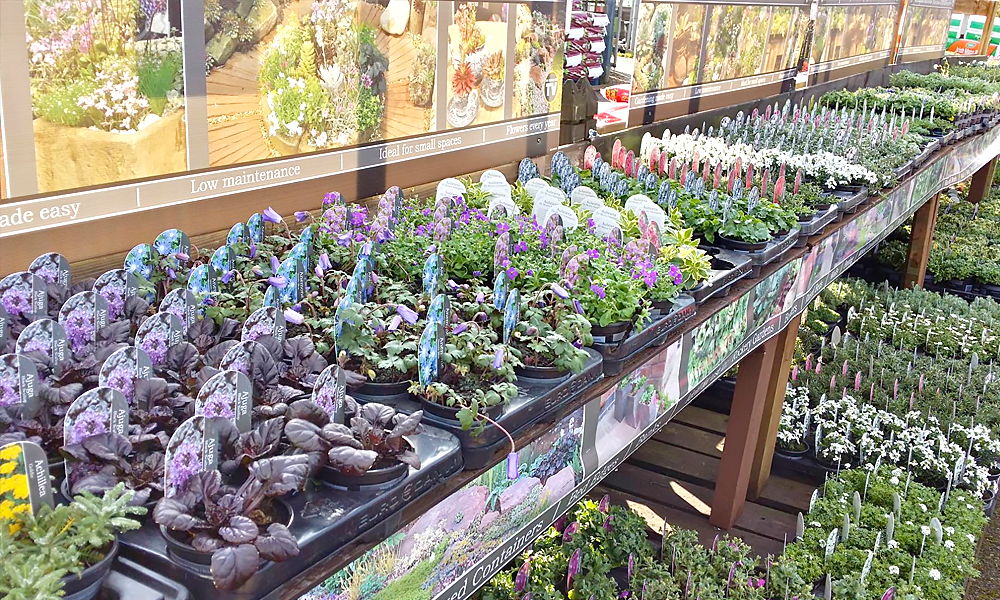 Carpenders Park Garden Centre in Watford, HERTFORDSHIRE Groupon