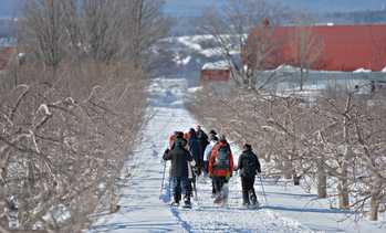 Cider Tasting and Snowshoeing