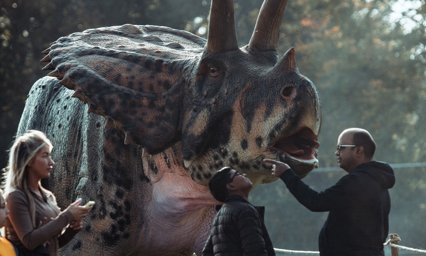 Image 6: Choice of Halloween Event for up to 4 people at Swanley Park!