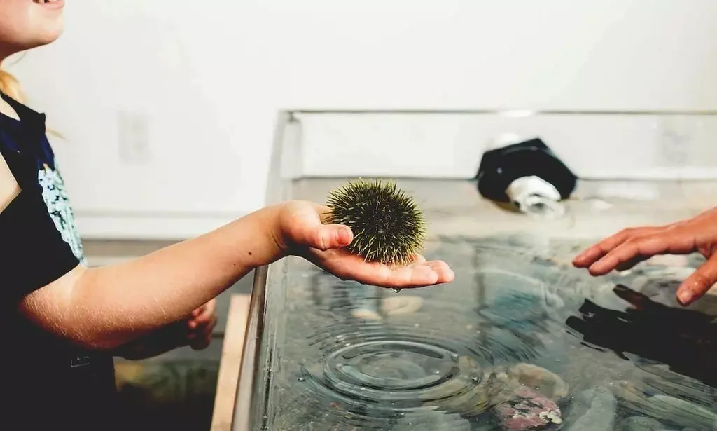 Dive into the Ocean World with Admission to  Up to Six
