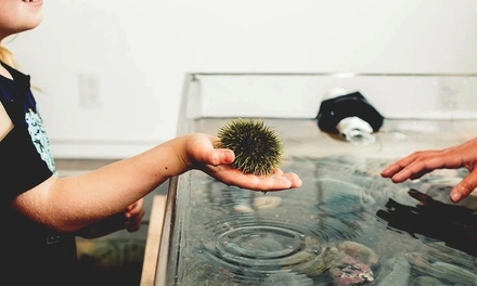 Admission for 2 Kids - Back to the Sea Centre