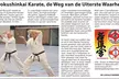 Leer jezelf verdedigen met Kyokushin karate! Tot 67% korting - Second Medium
