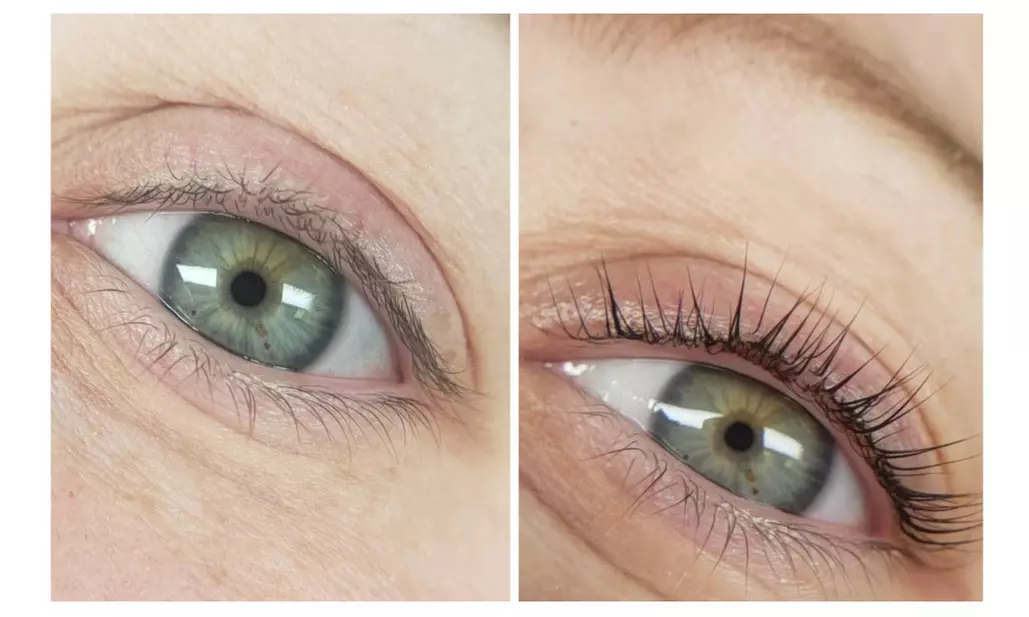 Classic, Hybrid, Volume Individual Lashes Or Lash Lift with Tint Combo