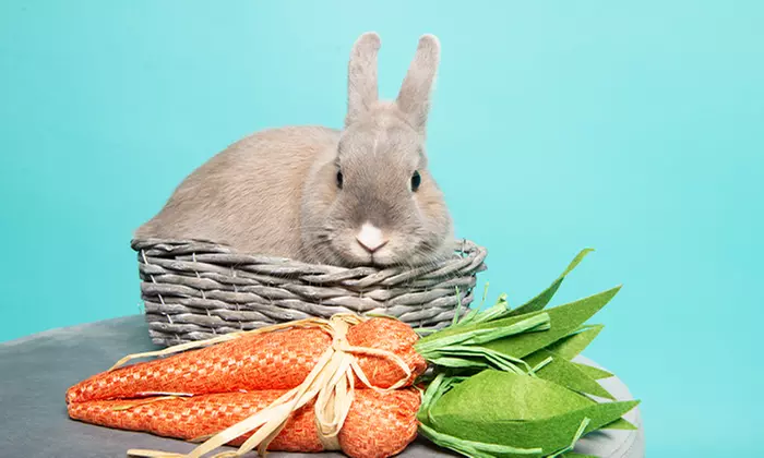 60 Min. studioline PHOTOGRAPHY Fotoshooting Erlebnis + Goldcard