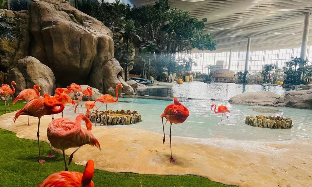 Yas Island Staycation: 1 or 2 Nights Stay with Breakfast or Half Board