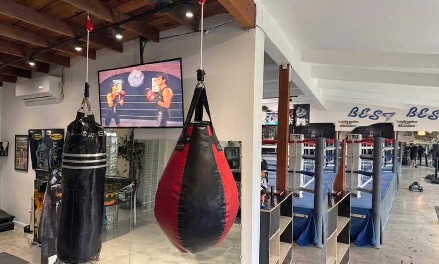 Image 6: Private Boxing & Kickboxing Classes with Progressive Learning