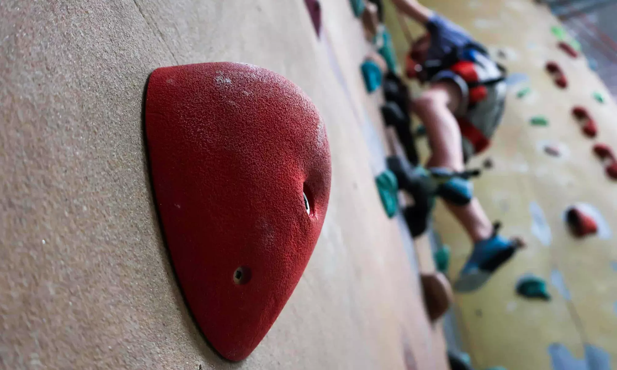 Up to 50% Off Indoor Climbing Adventures at The Climbing Centre Penrith