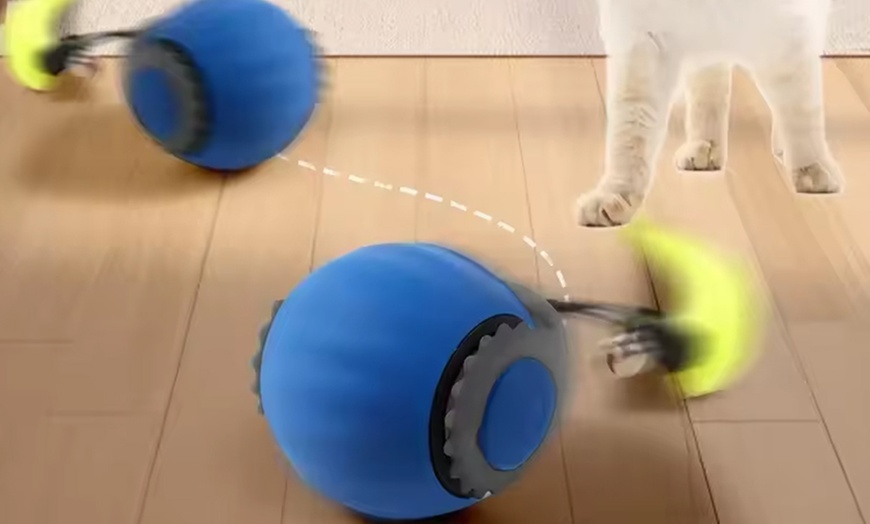 Image 13: Automatic Moving Cat Toy Ball: 1Pcs; FREE SHIPPING