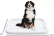 Amazon Basics Faux Sherpa Padded Bolster Dog & Pet Bed - 2 Sizes - Second Medium