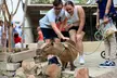 Experience Austin Aquarium's Diverse Marine and Exotic Life with Up to 40% Off - Second Medium
