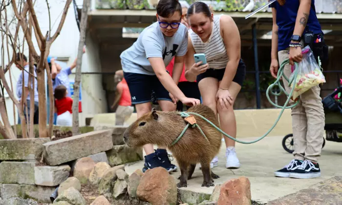 Discover Marine Wonders at Austin Aquarium