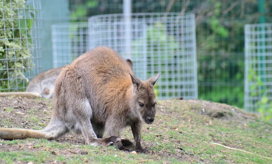 Image 33: Enjoy Family fun with Entry Tickets for Adults and Childrens