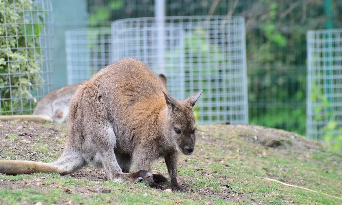 Enjoy Family fun with Entry Tickets for Adults and Childrens