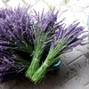 Image 3: Lavender Phenomenal - 3 or 6 Potted Plants with Optional Pots