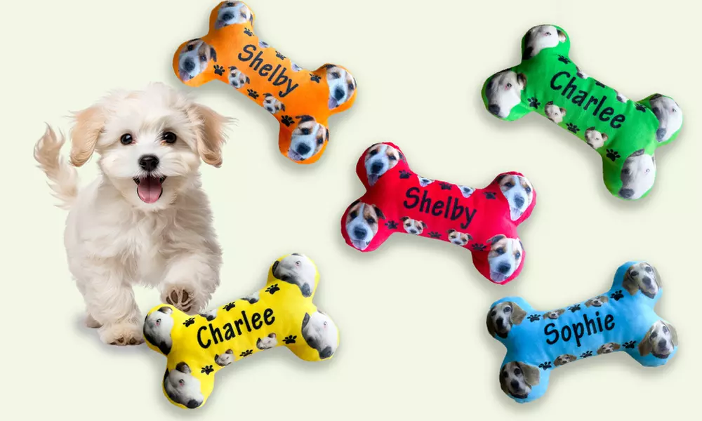 One or Two Custom Pet Toys - Custom Frisbees or Bones Available!