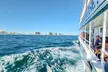 Dolphin Cruise in Gulf of Mexico, Intracoastal Waterway & Perdido Bay w/ Dolphin Sight Guarantee (Up to 26% Off) - Second Medium
