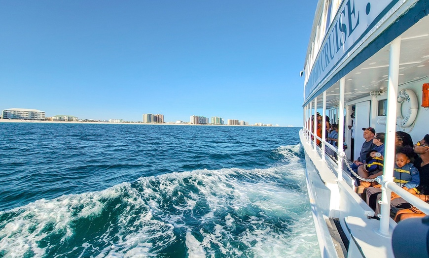 Image 4: Gulf of Mexico Dolphin Cruise: 1.5-2 Hours, Dolphin Sight Guaranteed