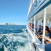 Image 4: Daytime Gulf of Mexico Dolphin Cruise w/ Sight Guarantee
