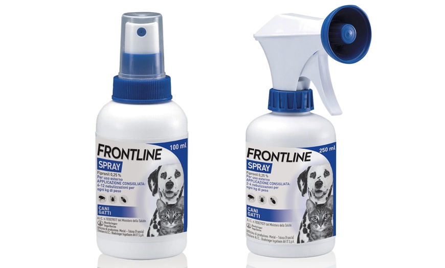 Image 1: 1, 2 o 3 spray Frontline per cani e gatti contro pulci e zecche