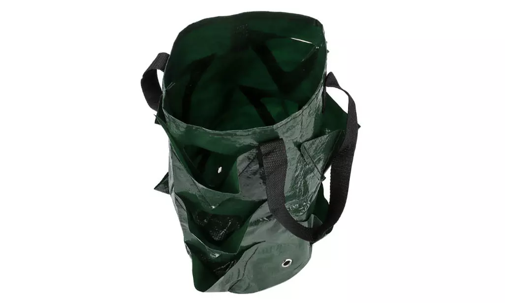 3 Gallon Strawberry Grow Bag Strawberry Plant Bag with 8 Side Planting Pockets