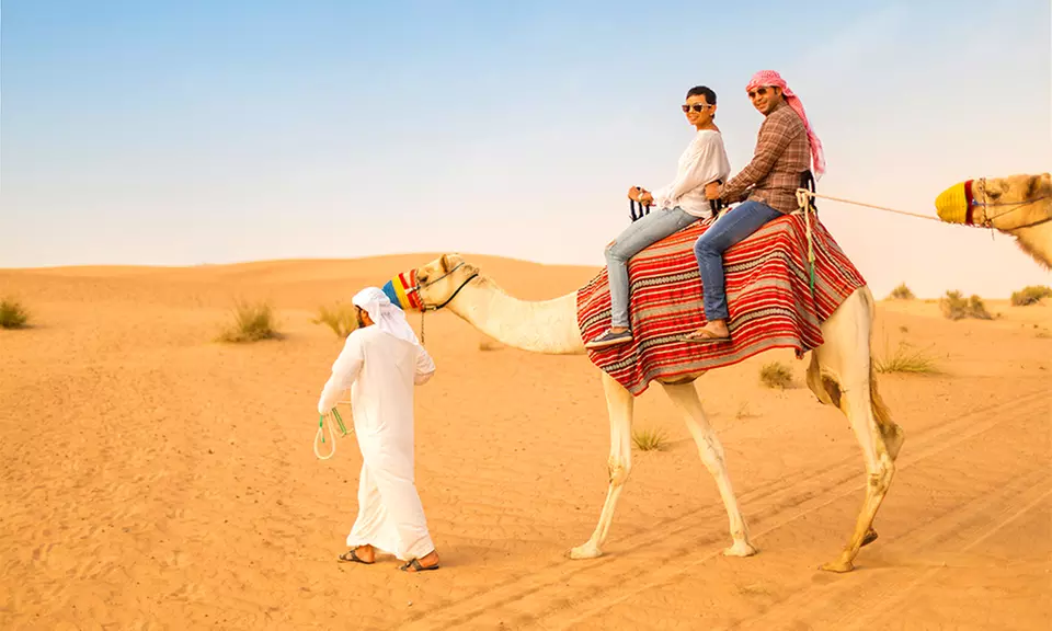 Choice of Morning or Evening Desert Safari for 1, 2, 3, 4, or 6 People