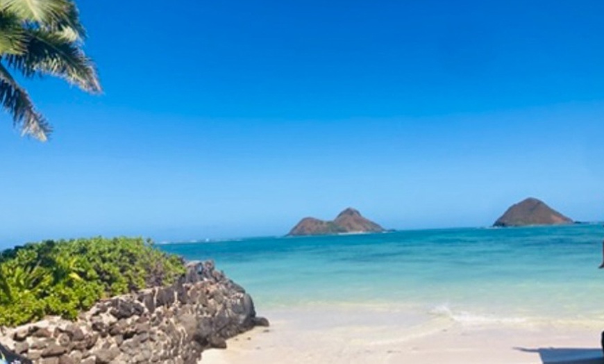 Image 2: Explore Hawaii with Lemurian Tours for Kids and Adults