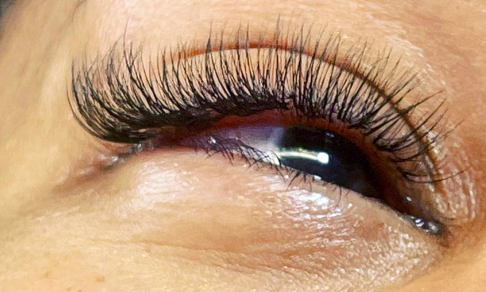 Get Bold: Classic Individual Eyelash Extensions or Lash Lift and Tint