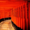 Image 4: ✈ Japan: 8 Nights with Flights and Stay at Choice of Hotels