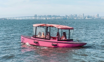 Electric Boat Rental 1 hr Non Captained Pretty in Pink Boat - R&R Electric Boat Rentals 