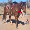 Image 3: Horse Riding & Wine Tasting Adventure at Double R Ranch