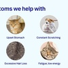 Image 4: Up to 56% Off At-Home Pet Food Sensitivity Testing