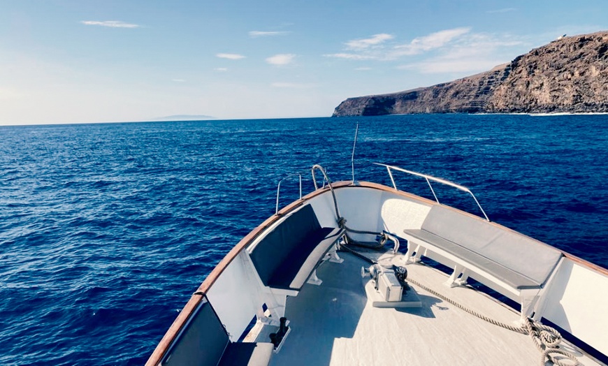 Image 3: Excursión de 4 horas en barco para avistar ballenas y delfines
