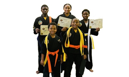 Six weeks of Lotus Martial Arts classes for Kids Ages 5-18. - Dragonfly Martial Arts & Fitness LLC Gastonia, NC	