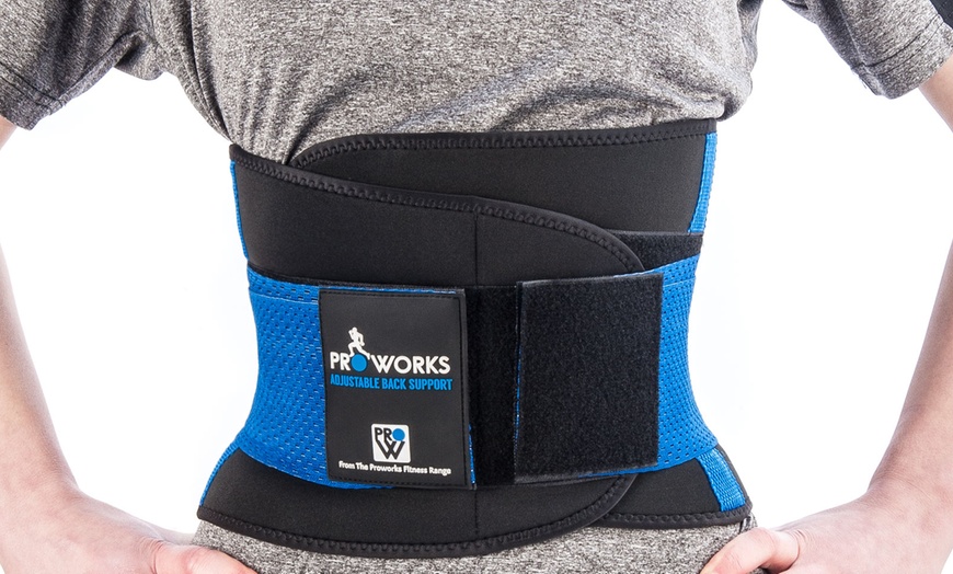 ProWorks Back Support Belt | Groupon